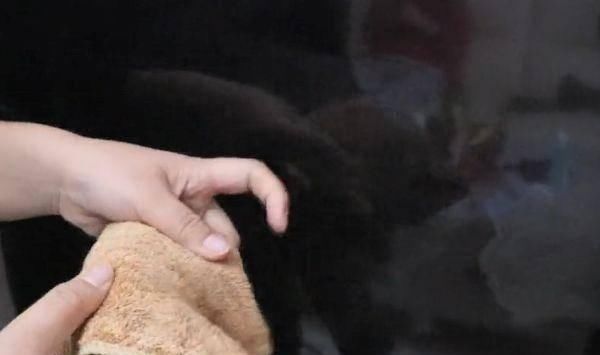 电视机屏幕|你还在用水擦电视屏幕吗只需倒点“它”擦一擦,立马洁净如新