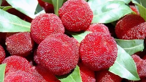 女性不妨常吃3种食物,补血养颜、延缓衰老,早吃早好!