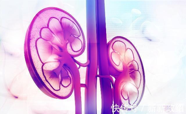 黄芪|黄芪和一物很“投缘”，经常泡水喝，养肝护肾，血栓不来扰