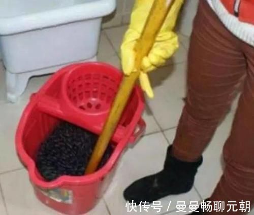 打扫|拖把用久了,不仅脏还有异味只需用“它”泡一泡,洗完像新的