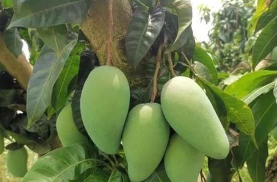 女性养生该如何进补?专家:不需山珍海味,只需4种“便宜货”!