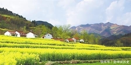 生活|俗语“出门不露白,露白会失财”,啥意思有道理吗