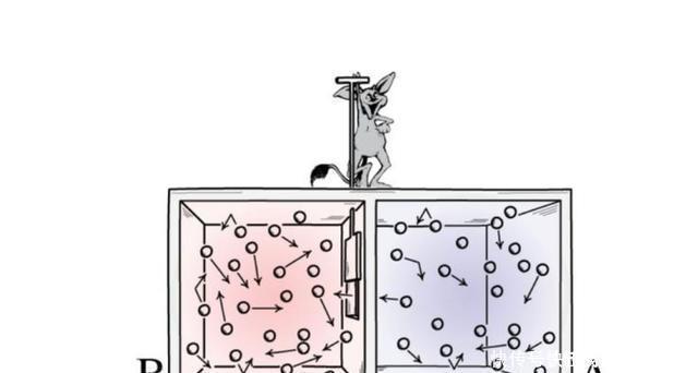 猫咪 物理学“四大神兽”,除了薛定谔的猫,你还知道哪一个