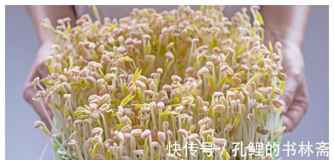绿豆|在家发豆芽原来这么简单，又粗又嫩不会烂，做法超简单，4天开吃