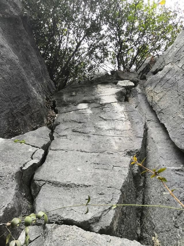 中年|往来临桂经常看到的这座山终于被人揭开了“面纱”！它是……