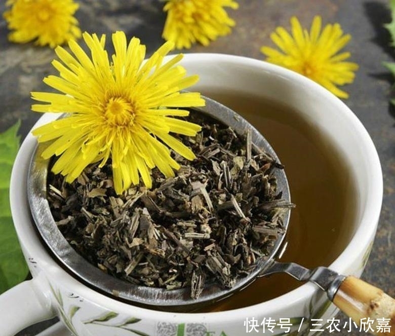 蒲公英泡水喝的利与弊你了解多少