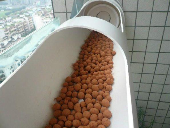 接婆婆来城里住,闲不住在阳台种菜,结果一年蔬菜都不用买了