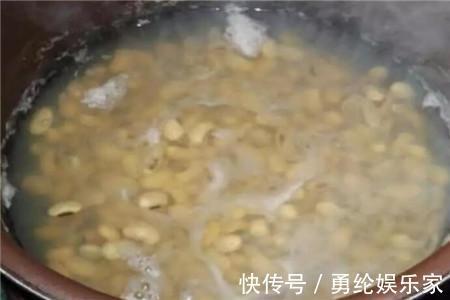 施肥|养虎皮兰时,盆里加2种东西,30天钻出钢芽,侧芽嗖嗖