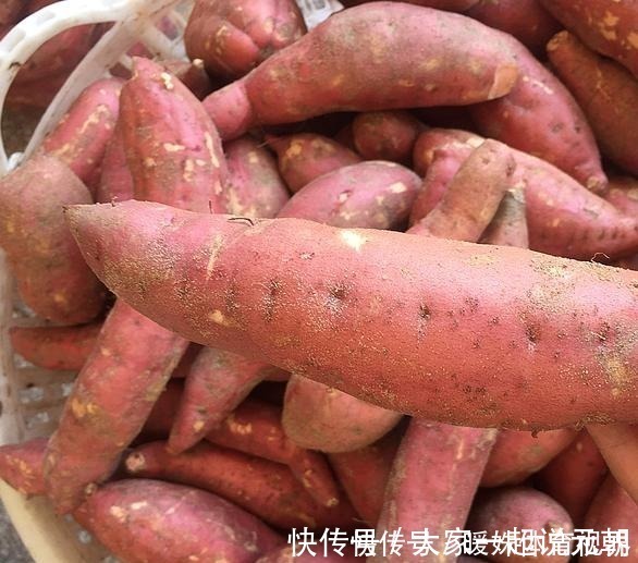 蒸红薯,直接用水蒸是大错!牢记5点,个个软糯香甜,不干不噎人