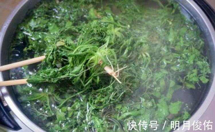散散心|保存荠菜，教您好方法，一次囤10斤，放1年不坏，想吃随时有