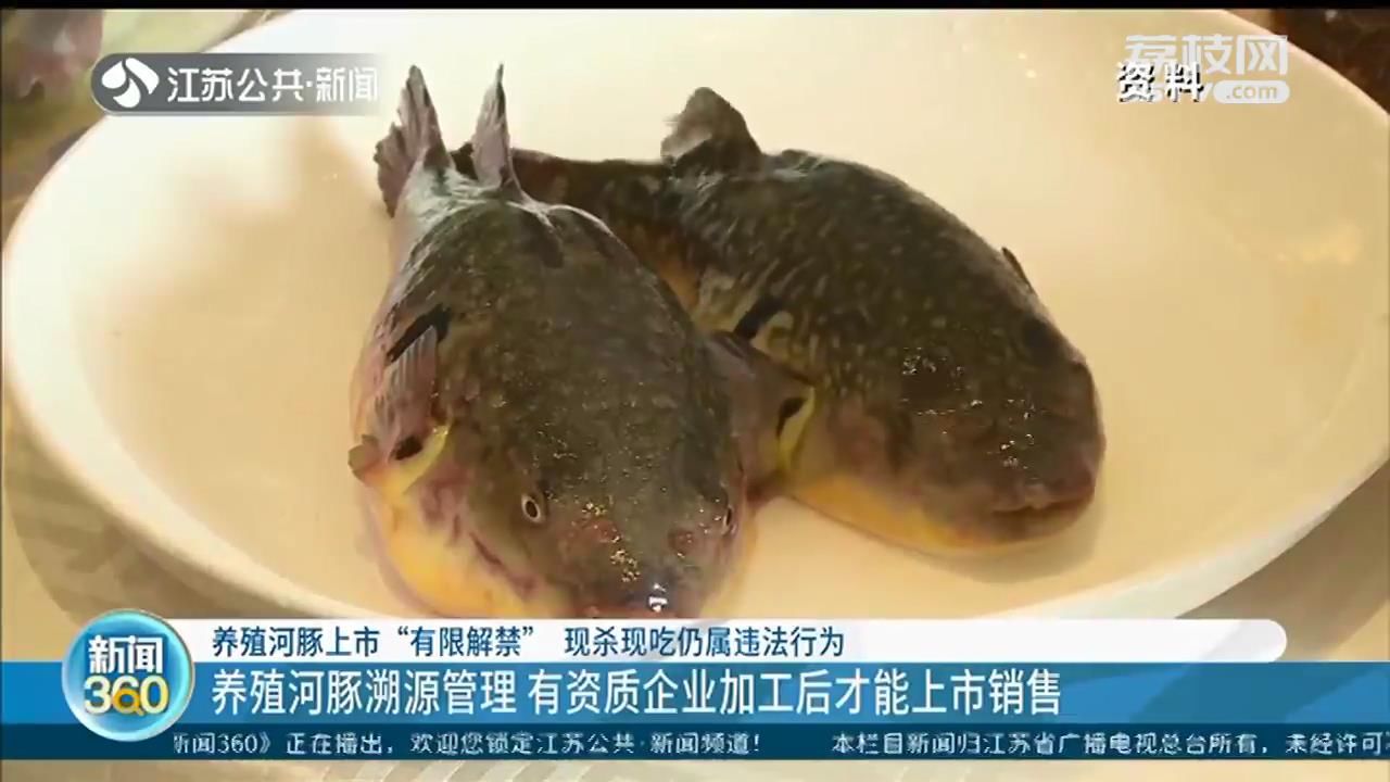 菜场买的小巴鱼有毒吗