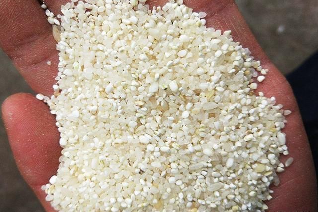 做出来|自制酒米鱼不吃不是鱼“挑食”,问题出在这些地方