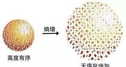 思之极恐的事情;宇宙膨胀及宇宙膨胀时间表。
