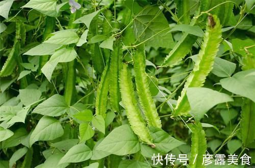 好处|想长寿全靠吃,三种食物离不开,抗衰老,排毒清肠,好处多多