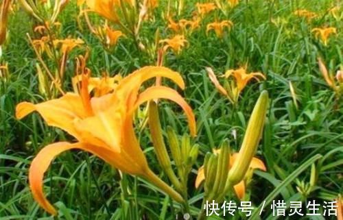 养生|冬天养生正当时,不妨多吃3种食物,美容养生,有益健康!