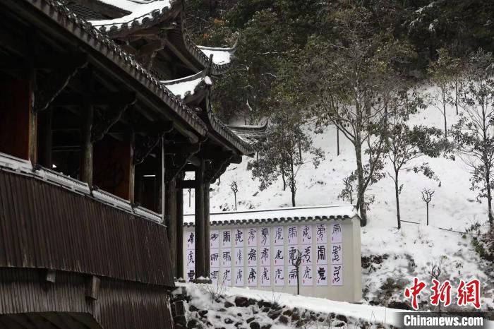 百山祖|浙江百山祖国家公园迎降雪 风景如画