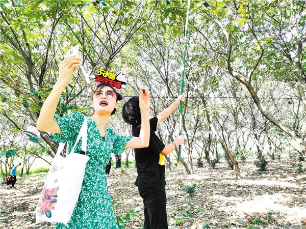 淘宝村|湖北省农村电商服务站达8248个