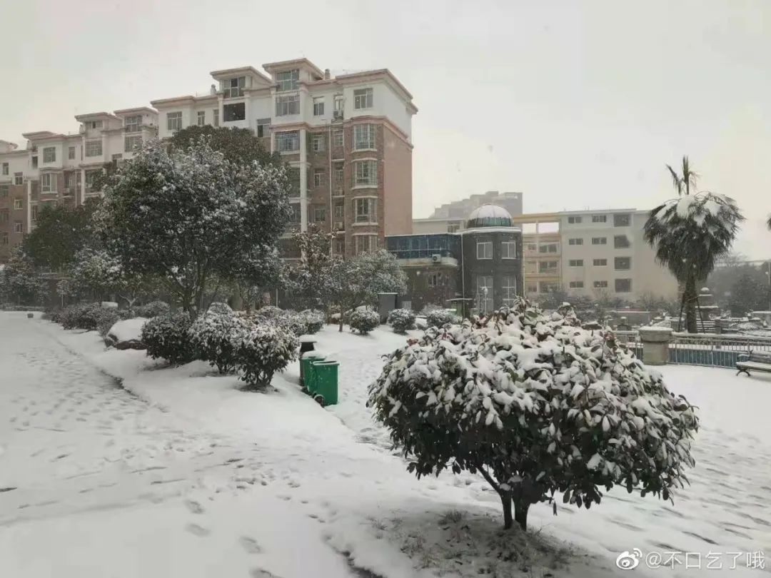 泡脚桶|九江的雪，有这么大！