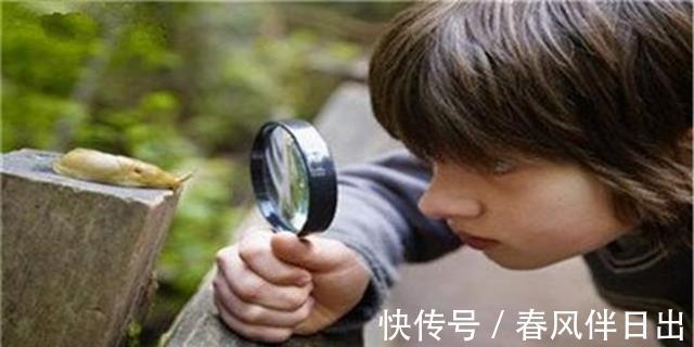 天才|高智商孩子独有的怪癖,家长却认为脑子不灵光,别扼杀了“天才”