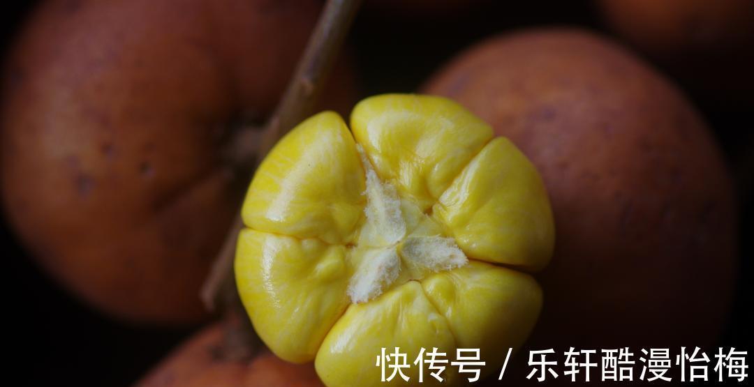 夏橙|建议不管有钱没钱，8月别错过这五种水果，营养美味身体棒