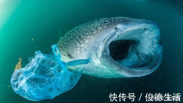 塑料制品|塑料袋禁令正在蔓延,但不用塑料袋就真的有效吗?