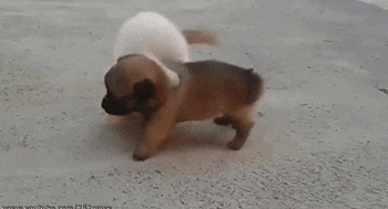 |搞笑动图:妹子,你这是相亲成功了吗?