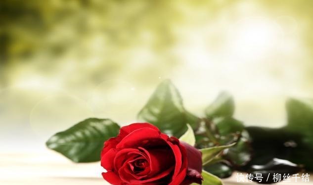 书本|书之香气,会让人更喜欢