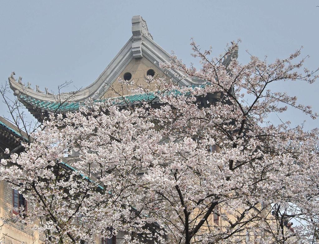 考生|在新高考模式下，考生如果想上985大学，就一定要选这个科目