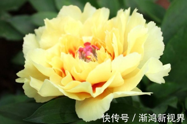 小技巧&俗话说言多必失,4句说话小技巧,让你从此福从口入、财从口出