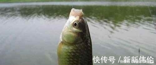 冬钓如何选择钓位?老钓友常用这3个“大招”,钓到天黑也不想走