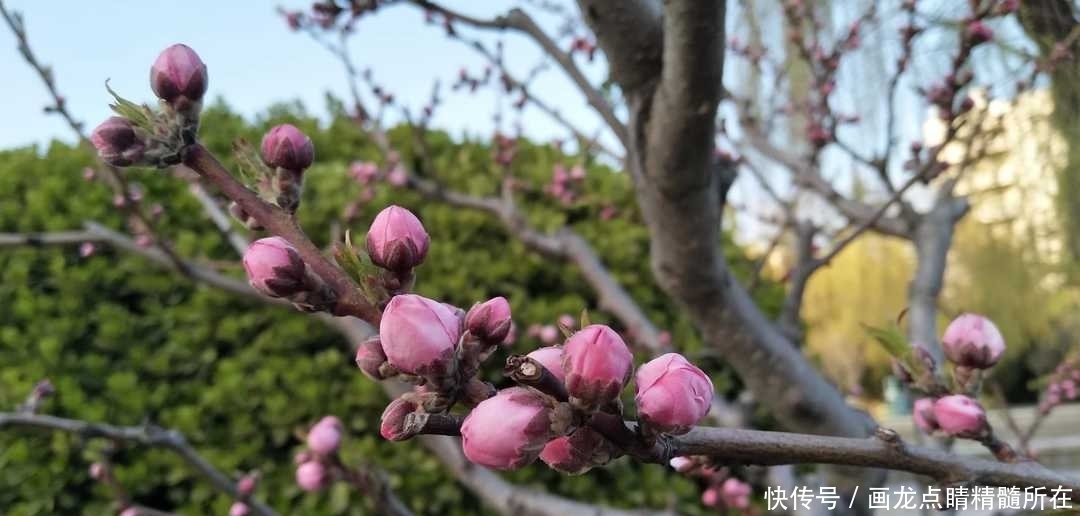 君子|曾国藩:三个不同寻常、与众不同的劝诫