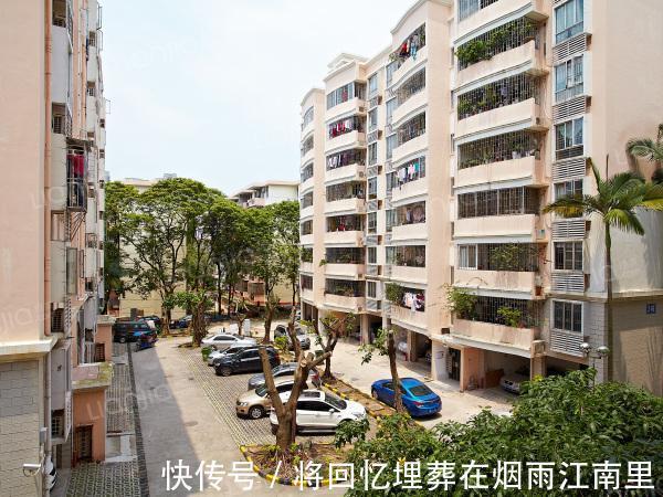 中间楼层|售楼小姐说漏嘴一栋楼无论它有多少层,买这几层准不会吃亏