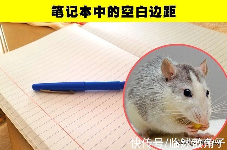 冷知识：7个日常事物鲜为人知的功能