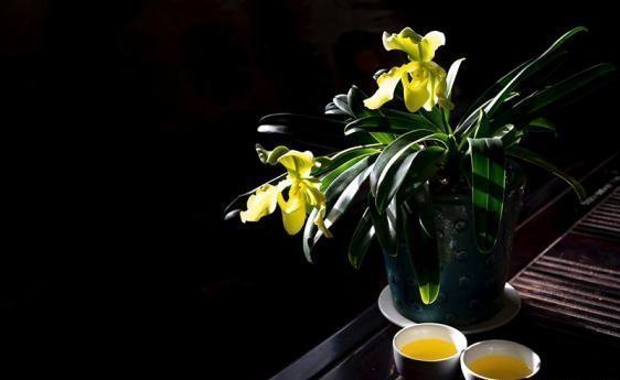 哪个季节采摘的茶叶最好喝看完这一篇你就懂了