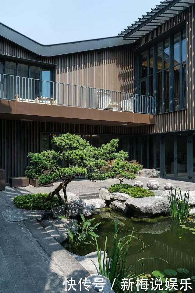 庭院种什么树好有些树真不能乱栽