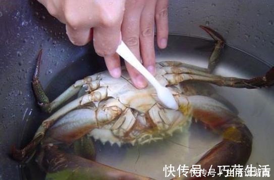蒸螃蟹,冷水蒸还是热水蒸很多人做错,难怪掉蟹腿流蟹黄,还腥
