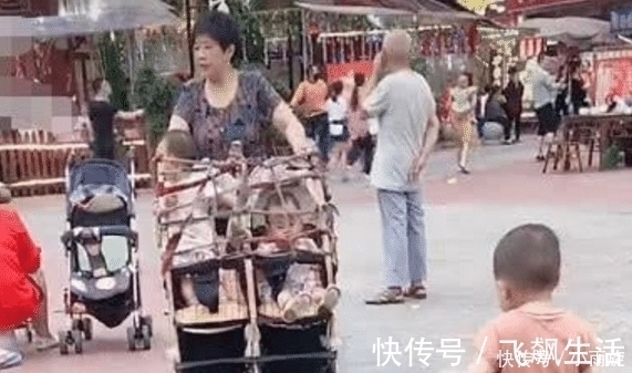 宝宝|奶奶带双胞胎宝宝出门,回头率太高,网友调侃确实是奶奶的风格