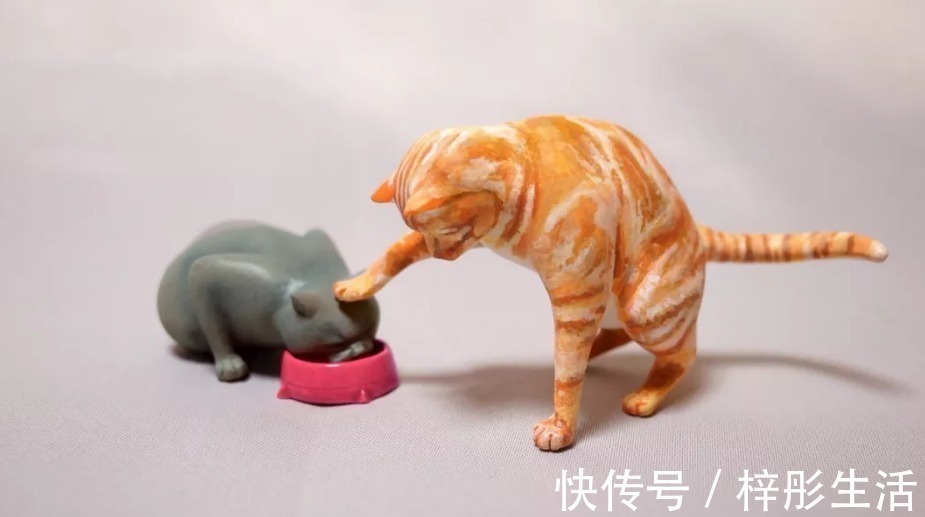 我是谁|他用手工雕塑高度还原魔性动物表情包,这画风也太搞笑了吧!