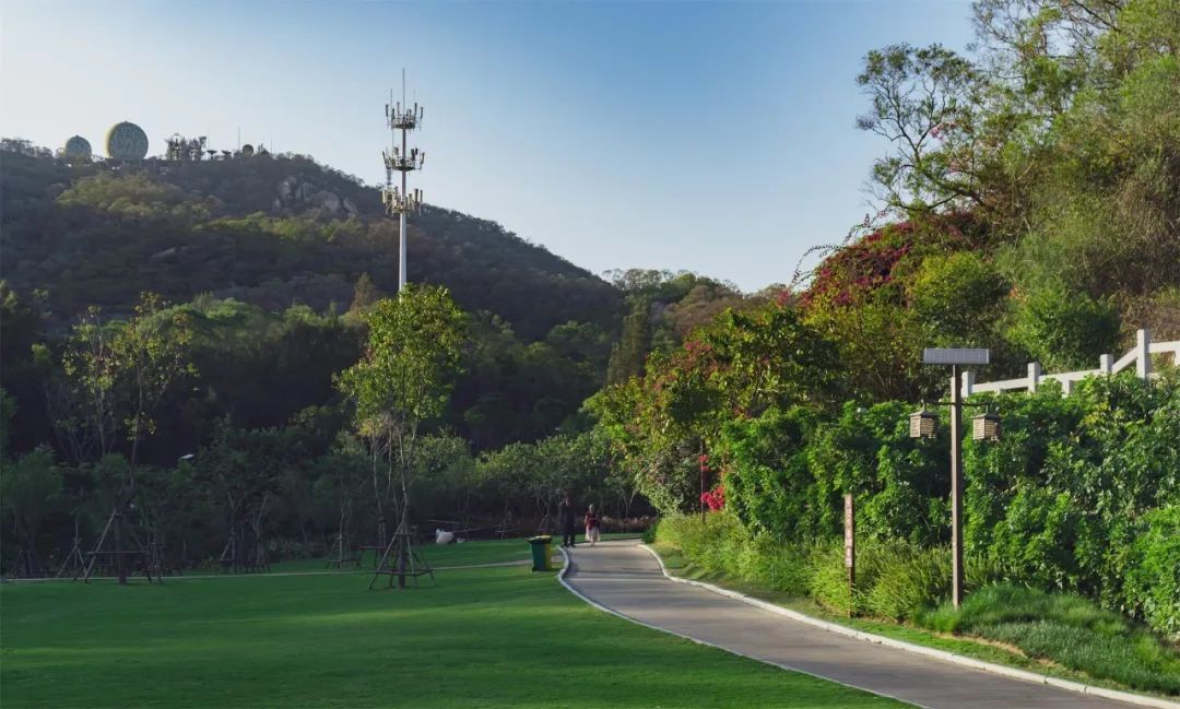 花溪|1日游必去！厦门这条跨山向海的景观大道串起超多小众美景！这么玩才过瘾