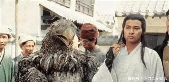 和小龙女|杨过的大雕最后去哪了?倚天中早有暗示,结局让人难以接受!