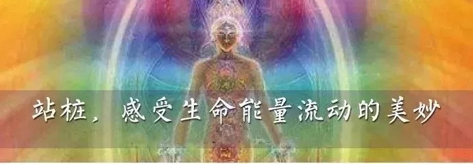 气血|站桩不仅可以补气血还可以提升气质!