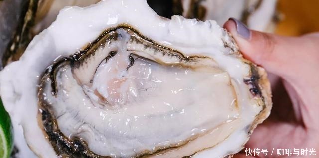 明明长得一模一样,为何一个叫生蚝,一个叫牡蛎原来区别这么大