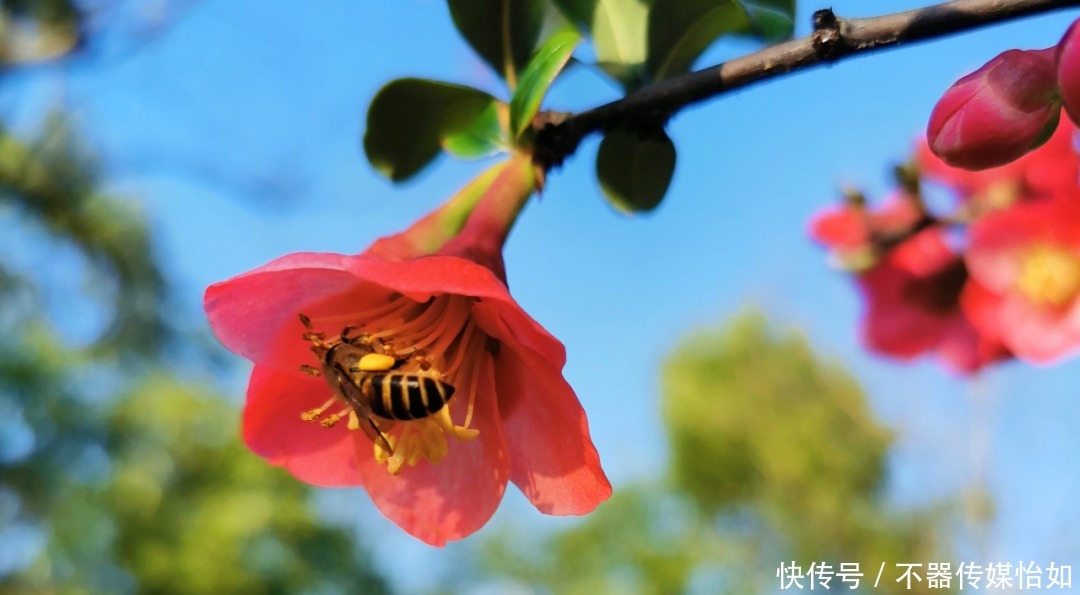 老年|春暖花开，踏青赏花正当时