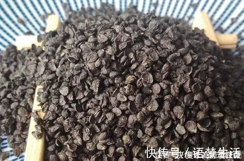 工资|它们公认是男人的“肾黄金”，工资再少也要经常吃，肾脏或会越来越健康