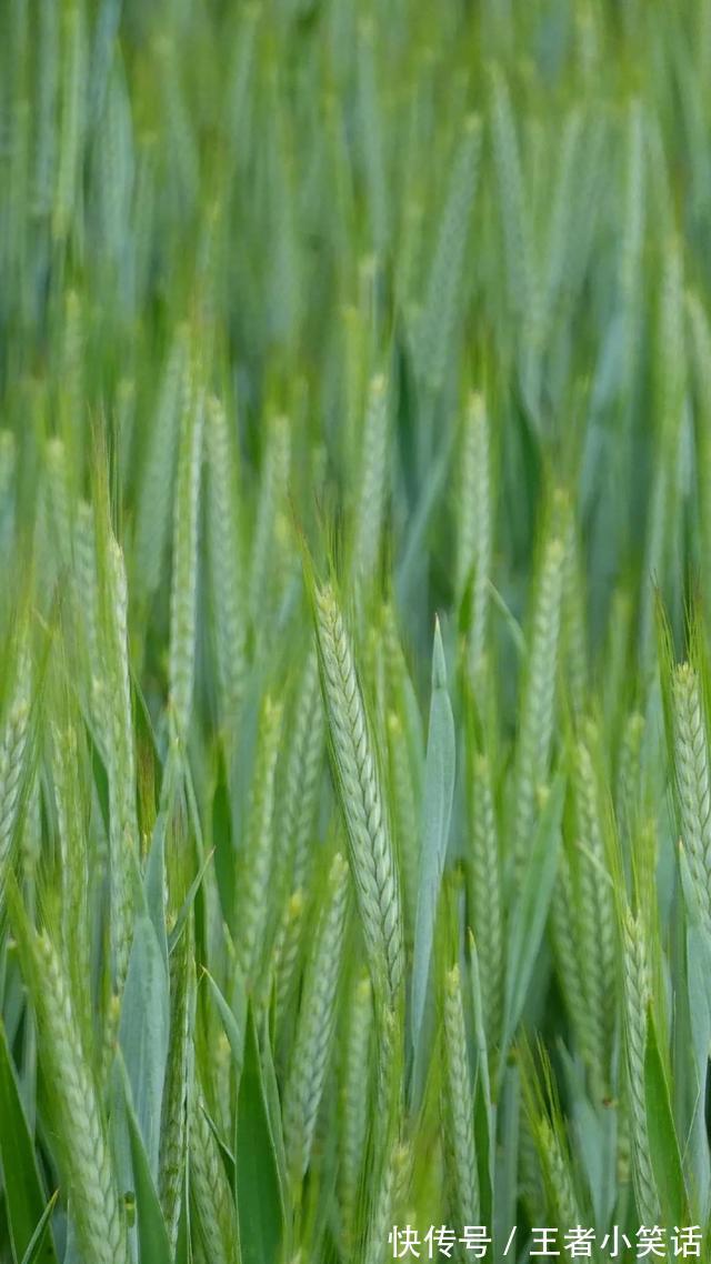 |「被窝段子0925」发脾气 只表示您的智慧不足以解决您所面临的问题