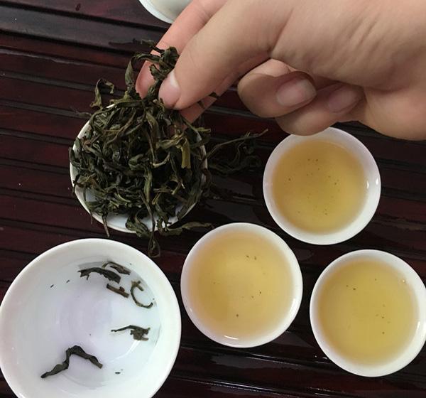 茶氨酚|长期喝白开水与喝茶的人,哪种人的身体更健康?你知道吗?
