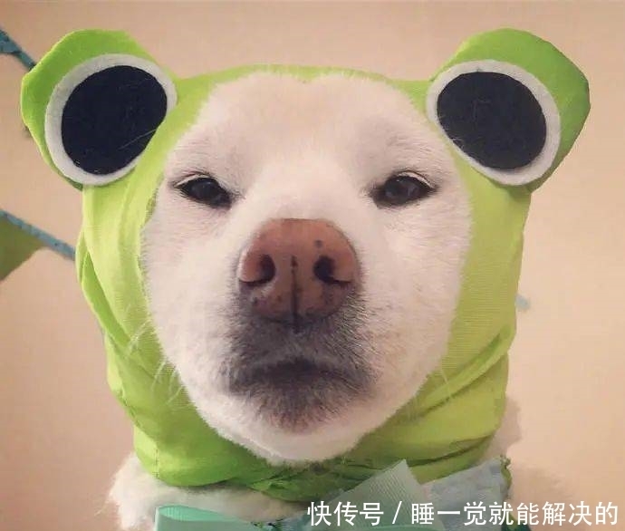 超好玩的沙雕头像,建议收藏!