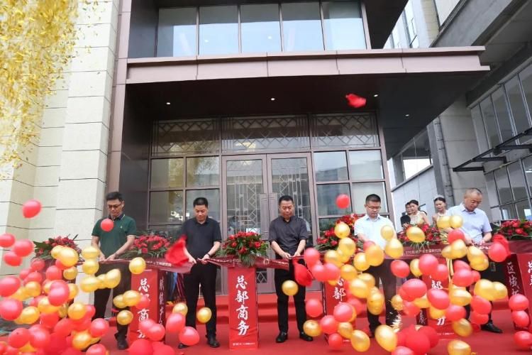 总裁|智者汇聚·如院以偿丨TTC区域产业发展研究院成立暨智汇谷总裁行馆盛妆绽放