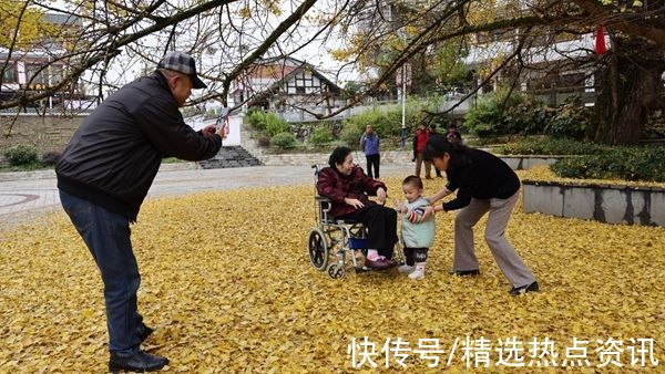 乡村|修文县大木村古银杏树群落叶缤纷引客来