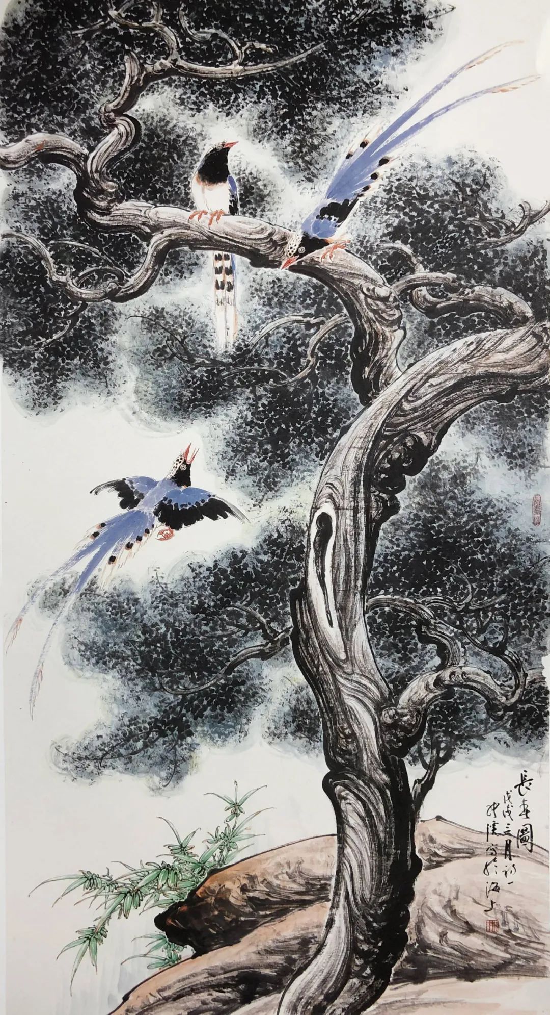 笔墨!妙造自然·巧得天趣——张秋波小写意花鸟画艺术品鉴